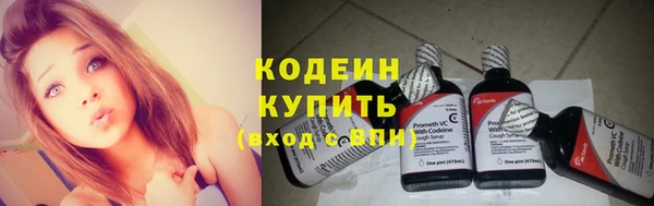 стаф Осинники