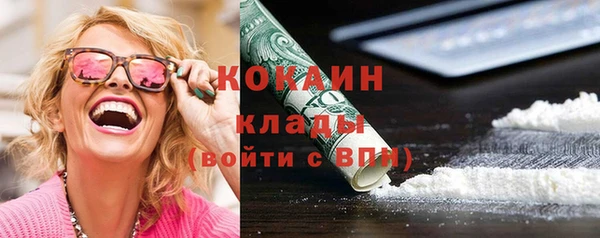 стаф Осинники